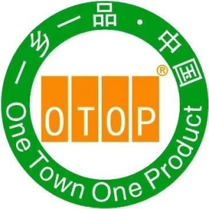 OTOPgo粤西赋能打造地方城市名片